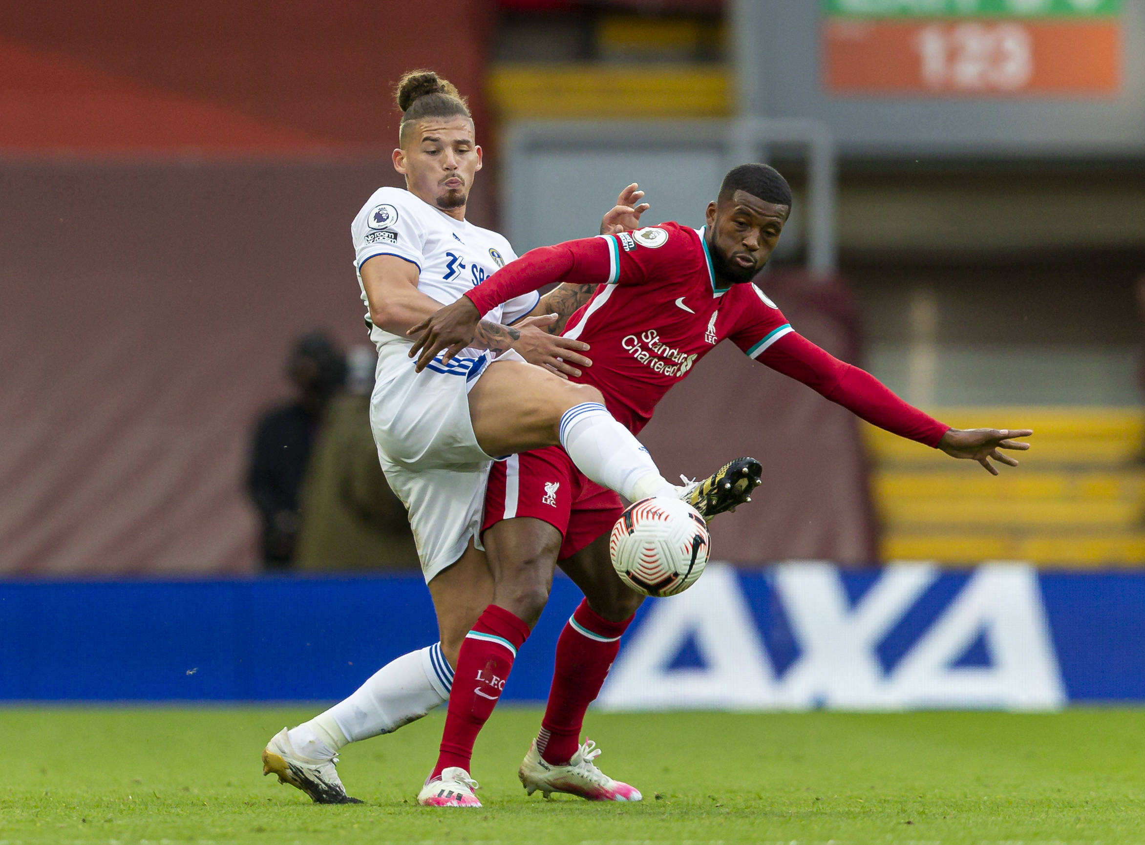 带来了顶级 带来了顶级